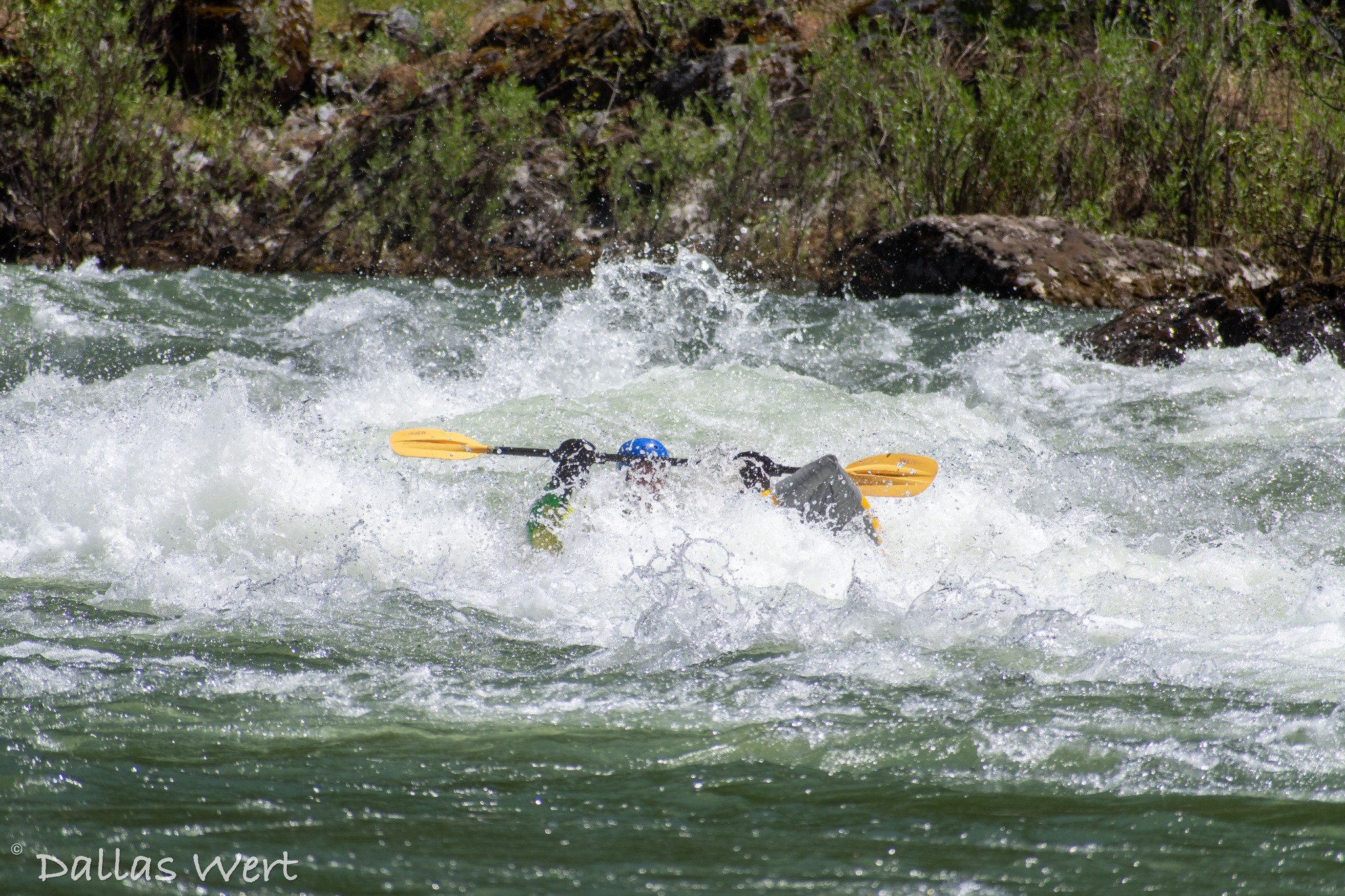 472559200_122177673680104530_7519095087910161781_n