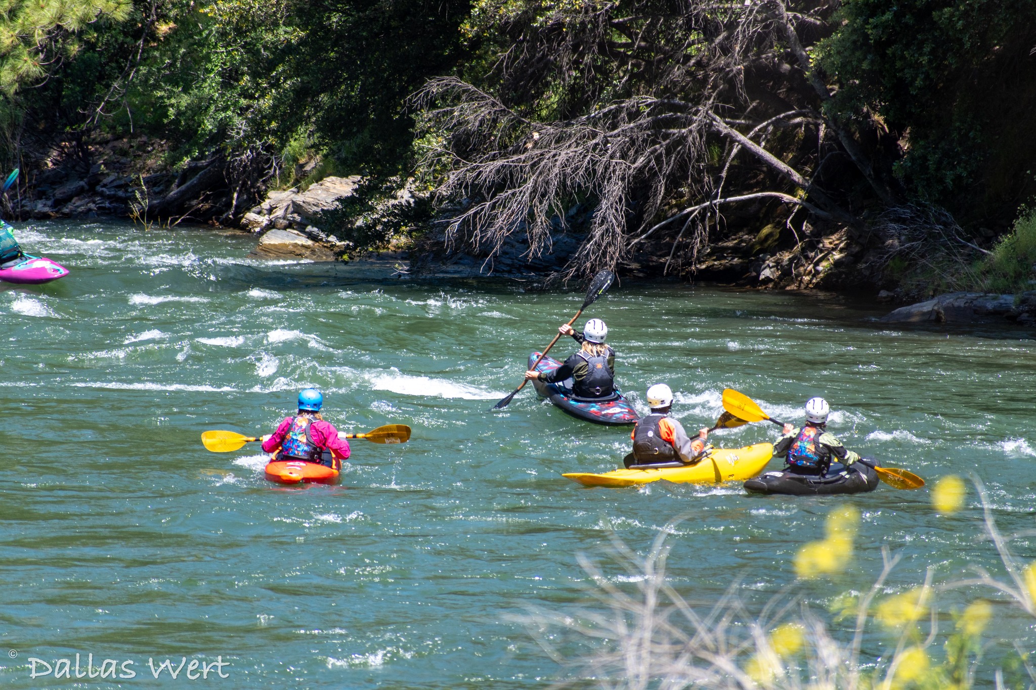 472740425_122177670566104530_4474374602198027160_n